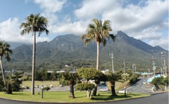 屋久島に行ってきました