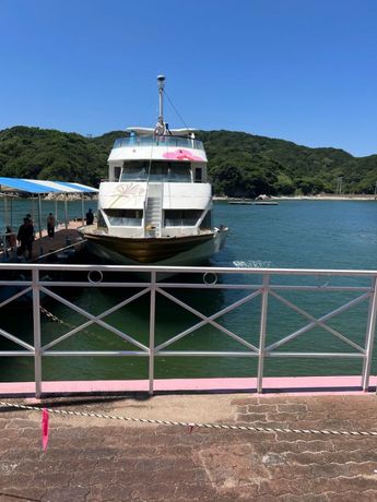 イルカ島